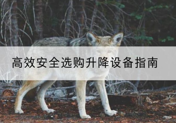 乳源升降货梯厂家推荐-*安全选购升降设备指南