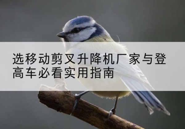 乳源电动升降机厂家-选移动剪叉升降机厂家与登高车必看实用指南