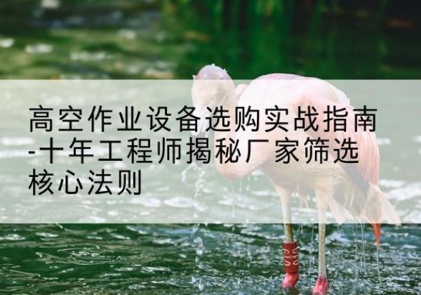 乳源剪叉式升降机厂家-高空作业设备选购实战指南-十年工程师揭秘厂家筛选核心法则